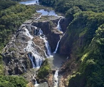 Barron Falls, Cattana Wetlands & Skyrail Rainforest Cableway: Tour + Lunch